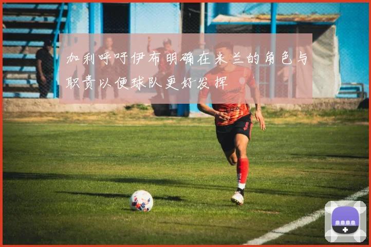 加利呼吁伊布明确在米兰的角色与职责以便球队更好发挥